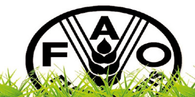 FAO 2015 06 13