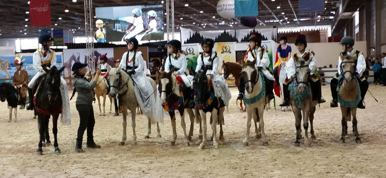 salon du cheval el jadida