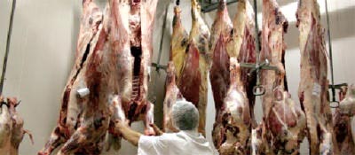 Abattoir prive Maroc 2011 03 08