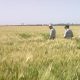 Agriculture Maroc agregation 2011 04 27