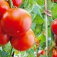 Agroalimentaire 2015 09 22