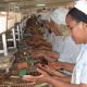 Agroalimentaire Maroc 2011 11 16