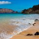 Canaries 2014 08 11