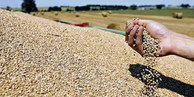Cereales 2014 08 13