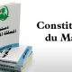 Constitution du maroc 2011 04 11