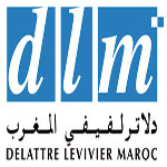 DLM 2011 02 11