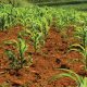 Domaines agricoles 2015 02 04