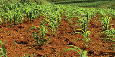 Domaines agricoles 2015 02 04