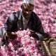Eaux Florales Maroc 2013 05 28