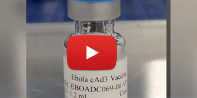 Ebola Vaccins 2014 11 28