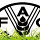 FAO 2015 06 13