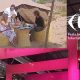 Fitur tourisme maroc 2015 01 26