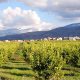Fonds national environement 2015 10 13