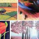 Graines artistes 2015 07 31
