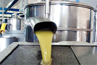 Huile Olive Maroc 2011 10 28