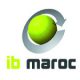 IBMC 2011 03 11
