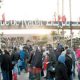 Jardin zoologique 2013 11 27