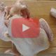 Laver Poulet 2014 06 17