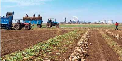 Maroc agriculteurs subventions 2014 11 05