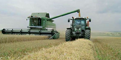 Maroc campagne Agricole 2014 02 11
