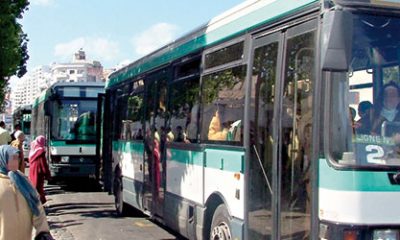 Mdina bus 2015 09 20