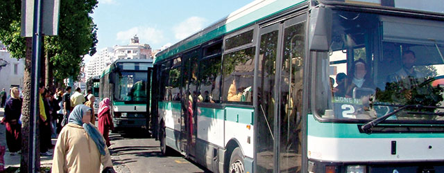Mdina bus 2015 09 20