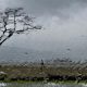 Meteo Pluie 2014 04 02 2014 11 19