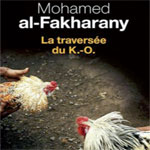 Mohamed al Fakharany traversee du KO 2014 05 06
