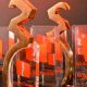 Morocco Awards 2014 12 19