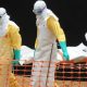 OMS Ebola 2014 08 08