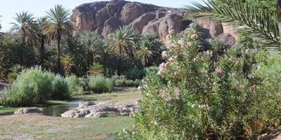 Oasis Errachidia 2014 06 04