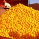 Orange maroc 2012 03 21