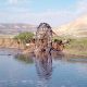 Oued Sebou 2015 09 11