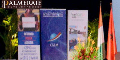Palmeraie Abidjan 2014 02 26