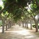 Parc de la Ligue Arabe 2015 06 17