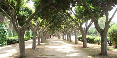 Parc de la Ligue Arabe 2015 06 17