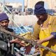 Peche Maritime MAROC 2013 04 02