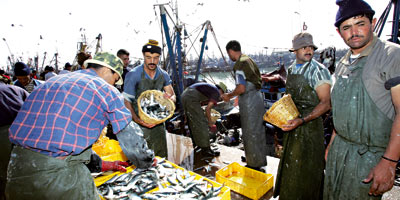 Peche au Maroc 2013 10 22