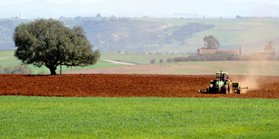 Plan Maroc Vert 2013 04 29