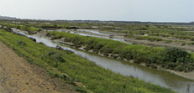 Pluie MAROC meteo 2012 04 06
