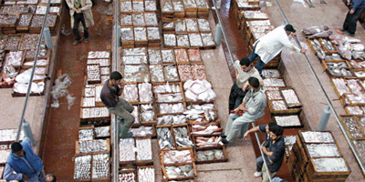 Poisson : un marché de gros ultramoderne à Marrakech
