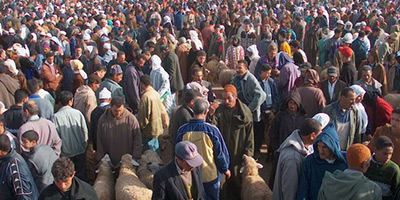 Population compagne Maroc 2015 03 17