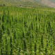 Rif mountains 2015 07 05