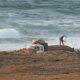 Safi Pillage de sable 2012 04 24