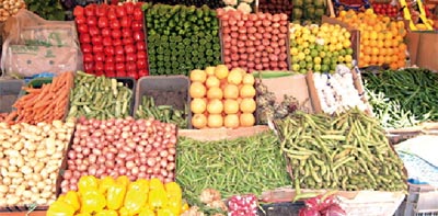 Securite alimentaire Maroc 2011 02 01
