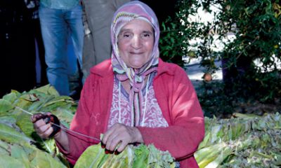 Tabac Femme Maroc 2013 11 28
