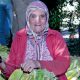 Tabac Femme Maroc 2013 11 28