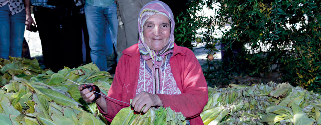 Tabac Femme Maroc 2013 11 28