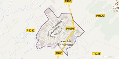 Tamesna 2014 03 13
