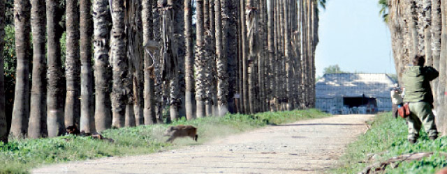 Tourisme de chasse 2015 01 08
